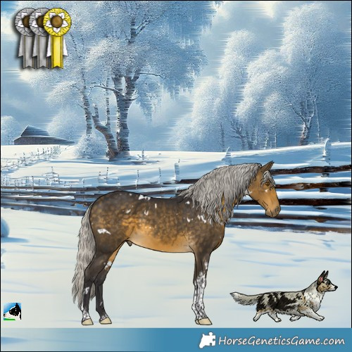 Horse Color:White Spotted Silver Buckskin Tobiano Rabicano 