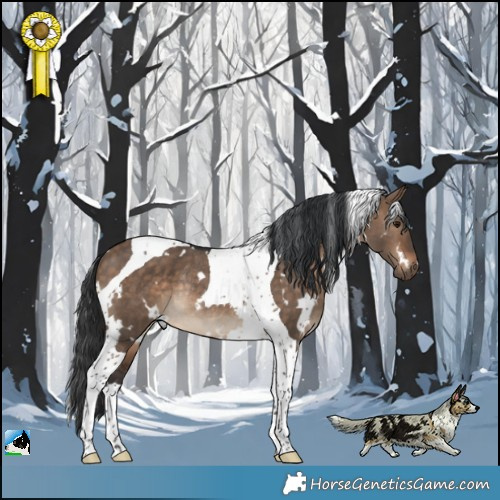 Horse Color:White Spotted Bay Dun Tobiano Rabicano 