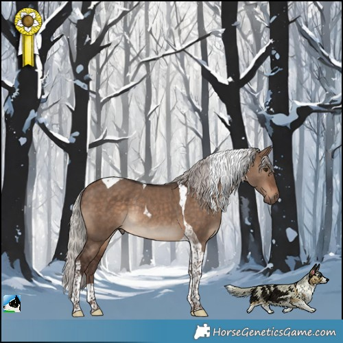 Horse Color:Silver Brown Dun Tobiano Rabicano 