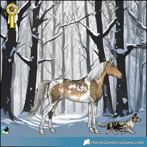 Horse Color:White Spotted Silver Buckskin Dun Tobiano Rabicano 