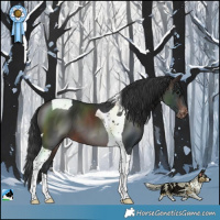 Horse Color:Brown Tobiano Varnish 