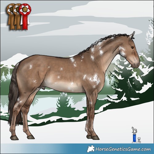 Horse Color:White Spotted Liver Red Dun 