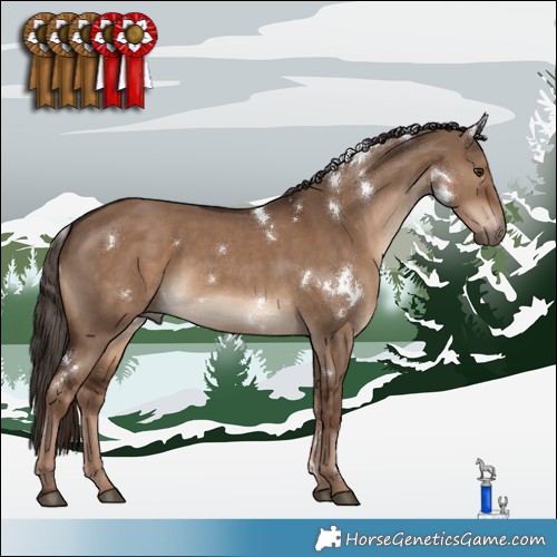 Horse Color:White Spotted Liver Red Dun 