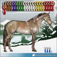 Horse Color:White Spotted Liver Red Dun