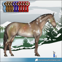 Horse Color:White Spotted Liver Red Dun 
