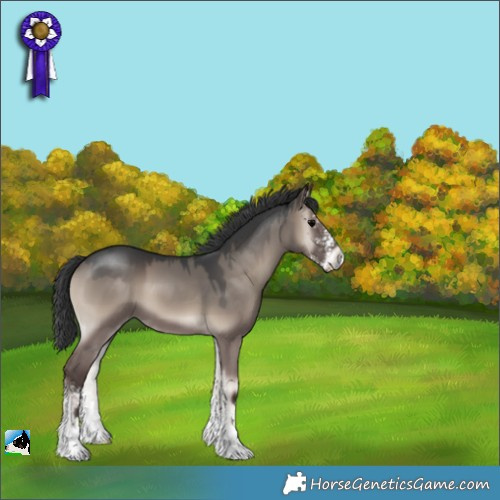 Horse Color:Grullo Onyx Sabino 