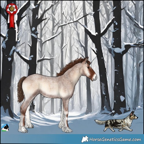 Horse Color:Red Onyx Roan 