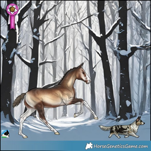 Horse Color:Liver Red Onyx 