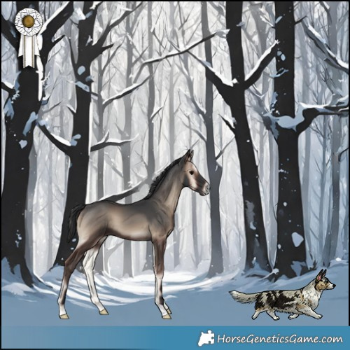 Horse Color:Blue Onyx 