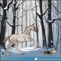Horse Color:Chocolate Palomino Roan Tobiano 