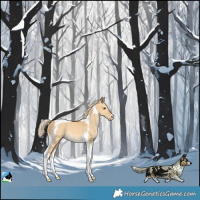 Horse Color:Palomino Dun Tobiano Varnish