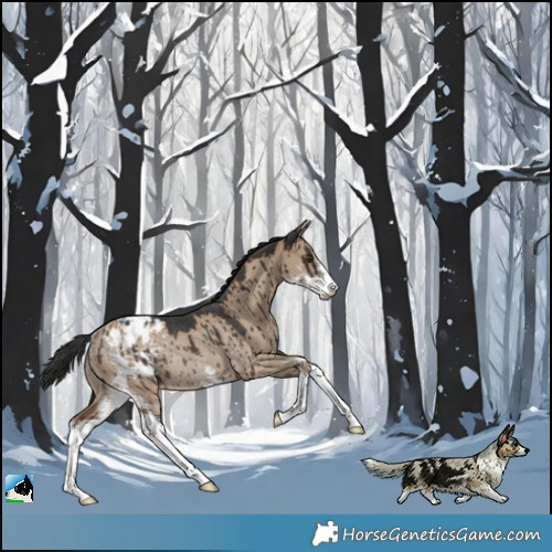 Horse Color:Liver Red Dun Sabino Varnish Rabicano Brindle 