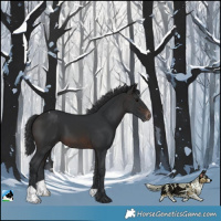 Horse Color:Brown Varnish