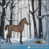 Horse Color:Brown Dun Varnish Brindle 