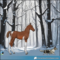 Horse Color:Chestnut Tobiano 