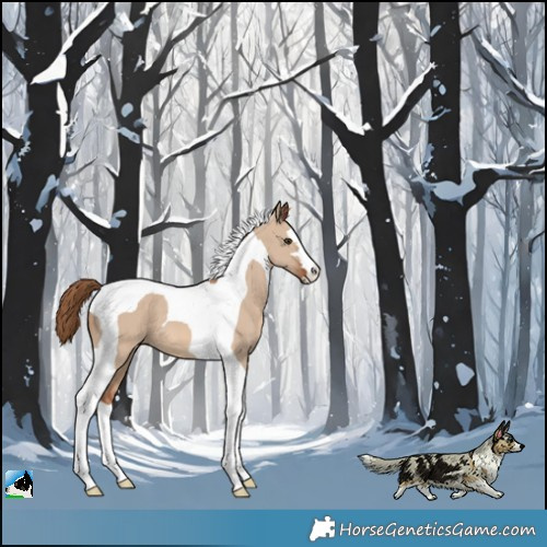 Horse Color:Red Dun Tobiano 