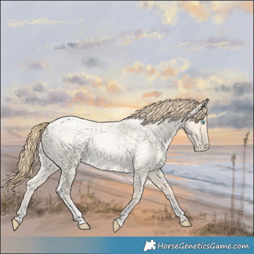 Horse Color:Buckskin Roan Pearl  and Smoky Blue Roan Pearl 