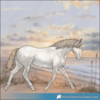 Horse Color:Buckskin Roan Pearl  and Smoky Blue Roan Pearl 