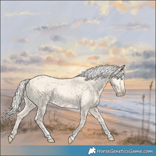 Horse Color:Cremello Dun Tobiano 
