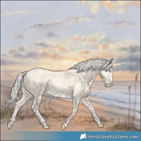 Horse Color:Cremello Dun Tobiano