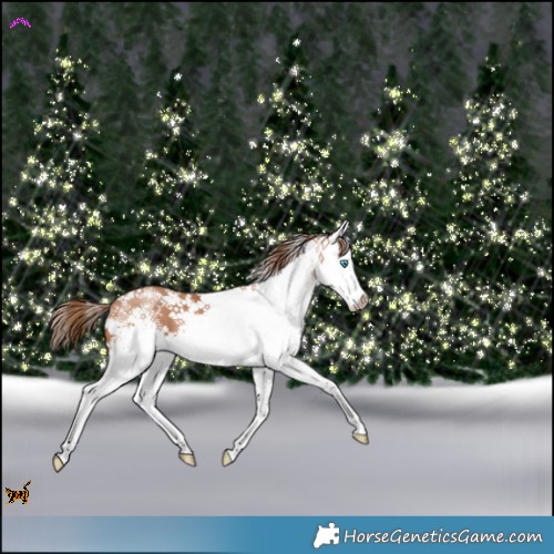 Horse Color:White Spotted Brown Pearl Splash Rabicano 