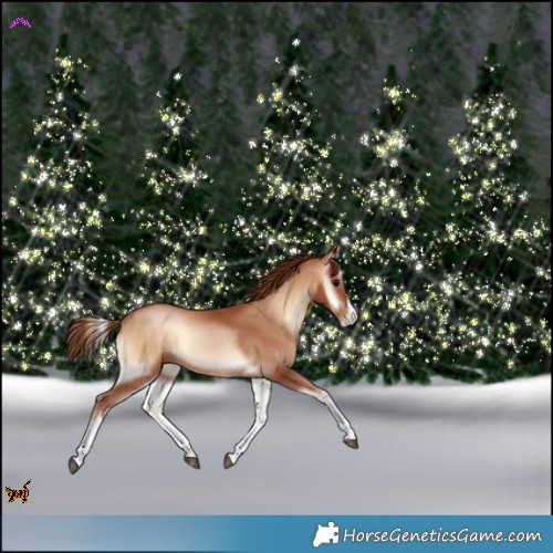 Horse Color:White Spotted Brown Pearl Onyx 