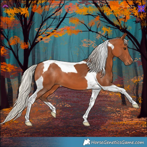 Horse Color:Silver Bay Tobiano 