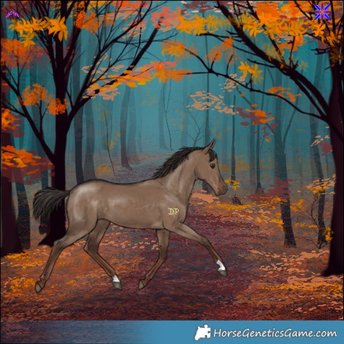 Horse Color:Liver Red Dun 