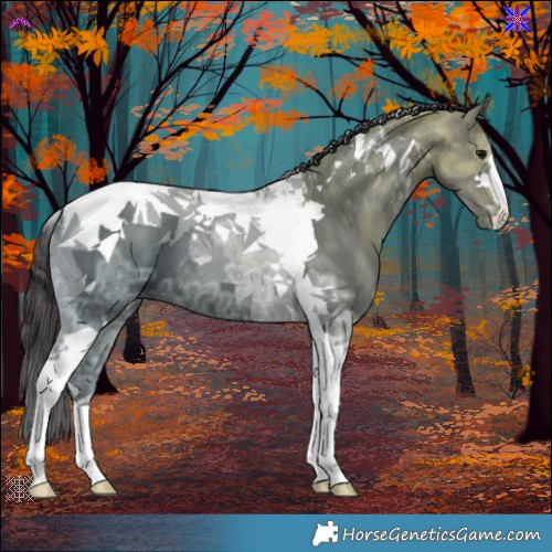 Horse Color:Smoky Black Ice Tobiano 