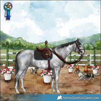 Horse Color:Blue Roan Mushroom Sabino 