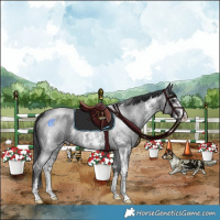 Horse Color:Blue Roan Mushroom Sabino