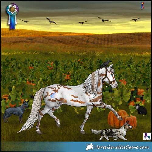 Horse Color:Chocolate Palomino Sabino 