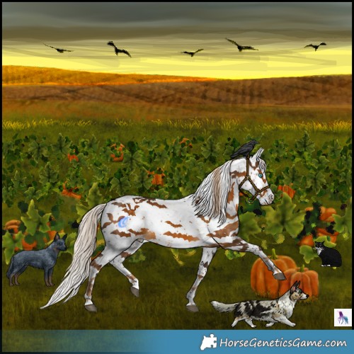 Horse Color:Chocolate Palomino Sabino 