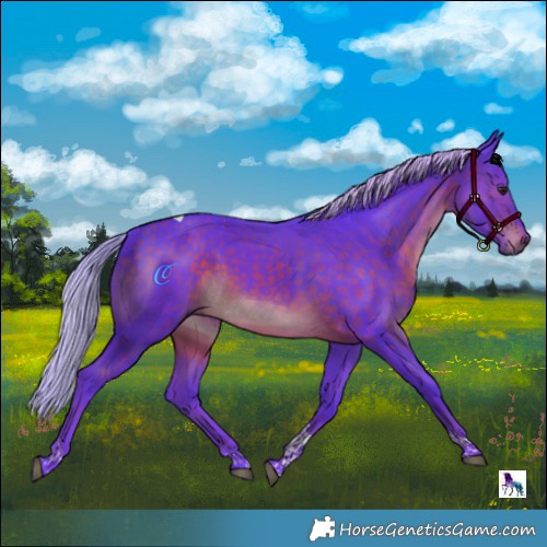 Horse Color:Watercolor Silver Brown Tobiano 