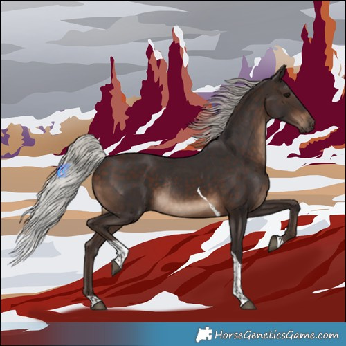 Horse Color:Silver Brown Tobiano Rabicano