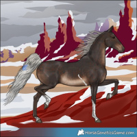 Horse Color:Silver Brown Tobiano Rabicano
