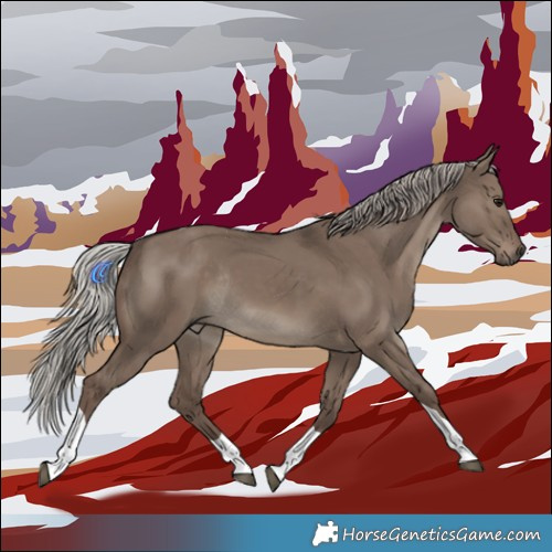 Horse Color:Silver Grullo Tobiano Rabicano 