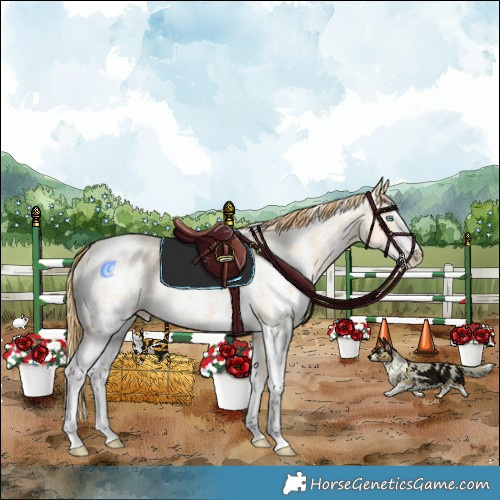 Horse Color:Buckskin Pearl Dun Sabino Rabicano