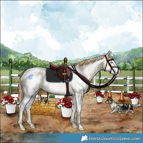 Horse Color:Buckskin Pearl Dun Sabino Rabicano
