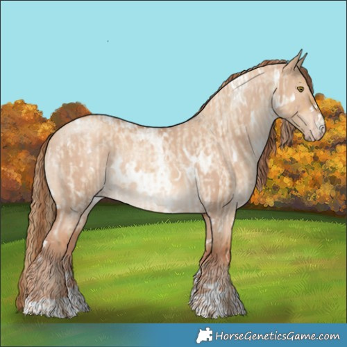 Horse Color:Chocolate Palomino Roan Dun Sabino  and White Spotted Gold Champagne Dun Brindle 