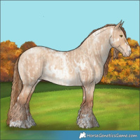Horse Color:Chocolate Palomino Roan Dun Sabino and White Spotted Gold Champagne Dun Brindle