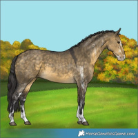 Horse Color:White Spotted Buckskin Dun 