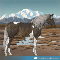 Horse Color:Silver Buckskin Tobiano