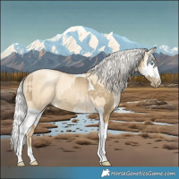 Horse Color:Silver Buckskin Pearl Tobiano Rabicano and Silver Sable Cream Champagne Pearl Splash