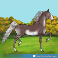 Horse Color:Chocolate Silver Black Chinchilla 