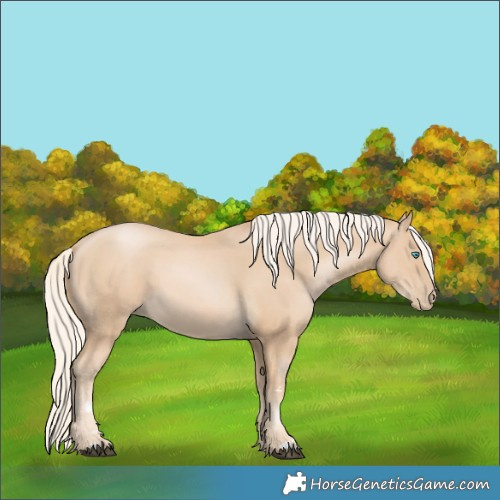 Horse Color:Palomino Pearl 