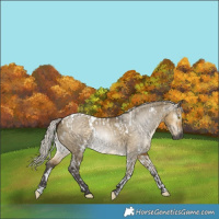 Horse Color:Gray Silver Buckskin Dun Tobiano  and White Spotted Silver Buckskin Dun 