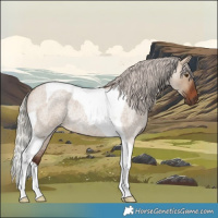 Horse Color:Silver Brown Roan Dun Tobiano Rabicano 