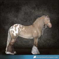 Horse Color:Silver Grullo Tobiano Blanket Rabicano  and Gray Silver Grullo Tobiano Blanket 