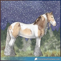 Horse Color:Liver Red Dun Splash Tobiano Blanket Brindle and Chocolate Palomino Dun Splash Tobiano Brindle